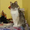 Отзыв от Алена Покровская
